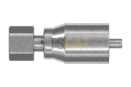 5503731