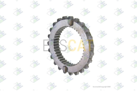 95534081
