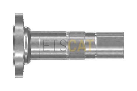 11R2031