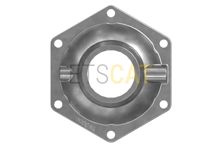 1N-3006