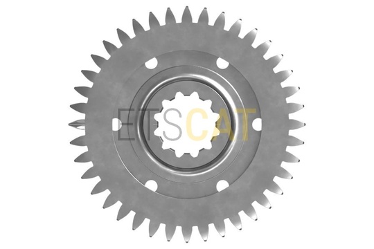 2925384