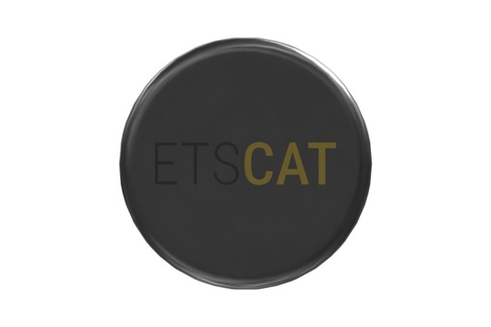 2S-6091