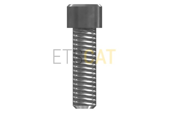 3244118