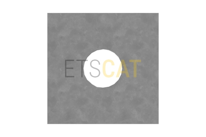 250-0689