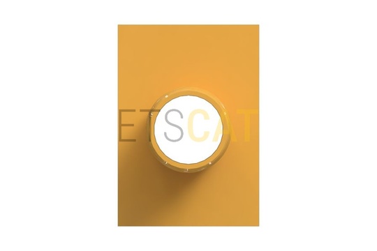 5480216
