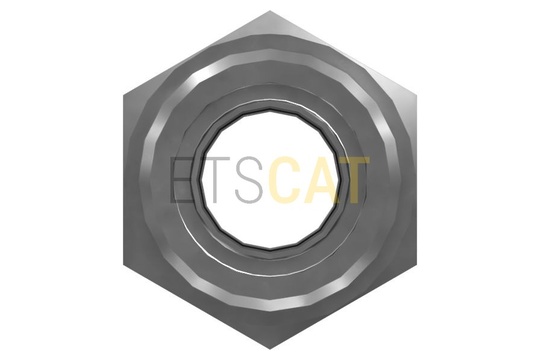 3223504