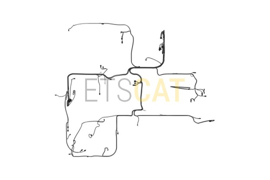 5595161