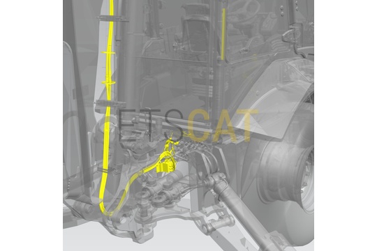 5504091